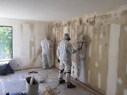 Best Black Mold Removal  in USA